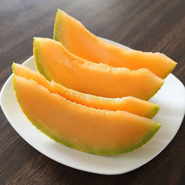 Sokoneo™ Graines de Melon_GN