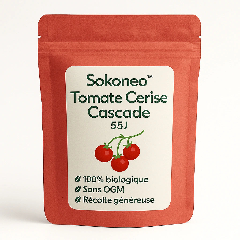 Sokoneo™ Tomate Cerise Cascade_ML