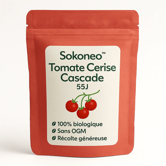 Sokoneo™ Tomate Cerise Cascade_ML