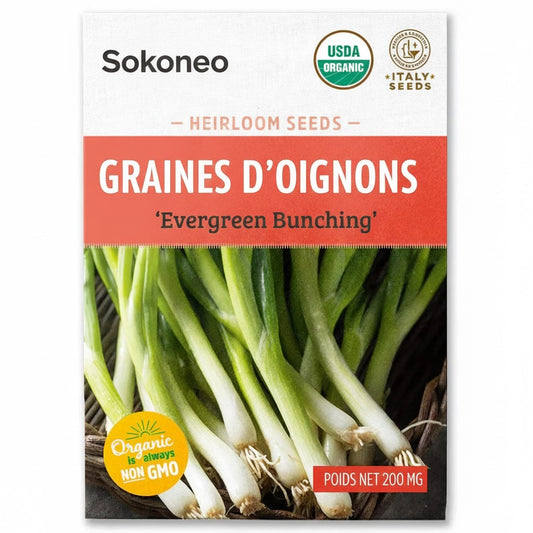 Sokoneo™ Graines d’Oignons_GN