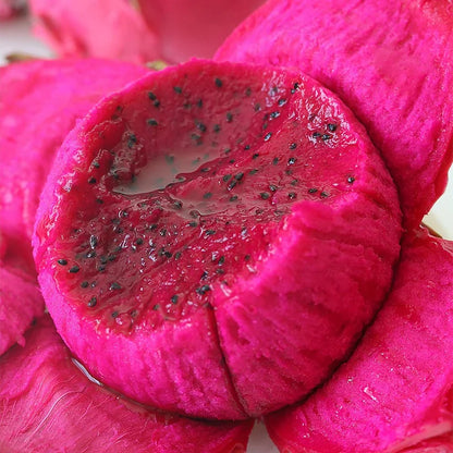 Sokoneo™ Graines de Pitaya (Fruit Du Dragon)_ML