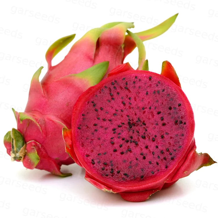 Sokoneo™ Graines de Pitaya (Fruit Du Dragon)_ML